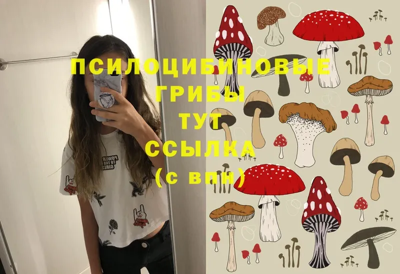 хочу   Белоусово  Псилоцибиновые грибы Magic Shrooms 